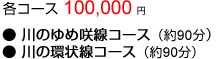 各コース 100,000円
●川のゆめ咲線コース(役90分)
●川の環状線コース(役90分)