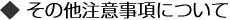 その他注意事項について